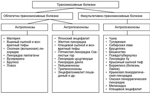 Трансмиссивные заболевания