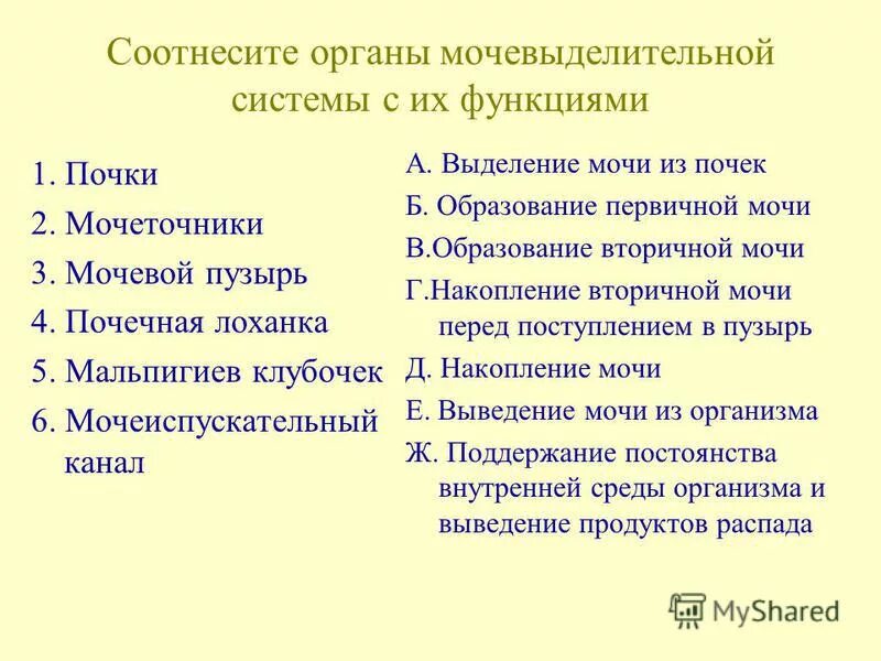 Соотнеси органы их функции