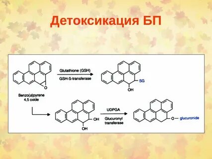 Бензапирен