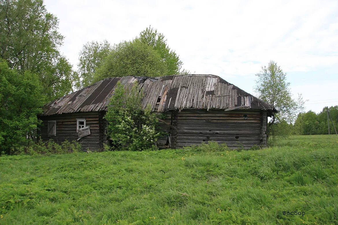 Дом в деревне. Большой двор череповецкий район. Деревенский дом двор. Двор в деревне. Петраково вологодский район.
