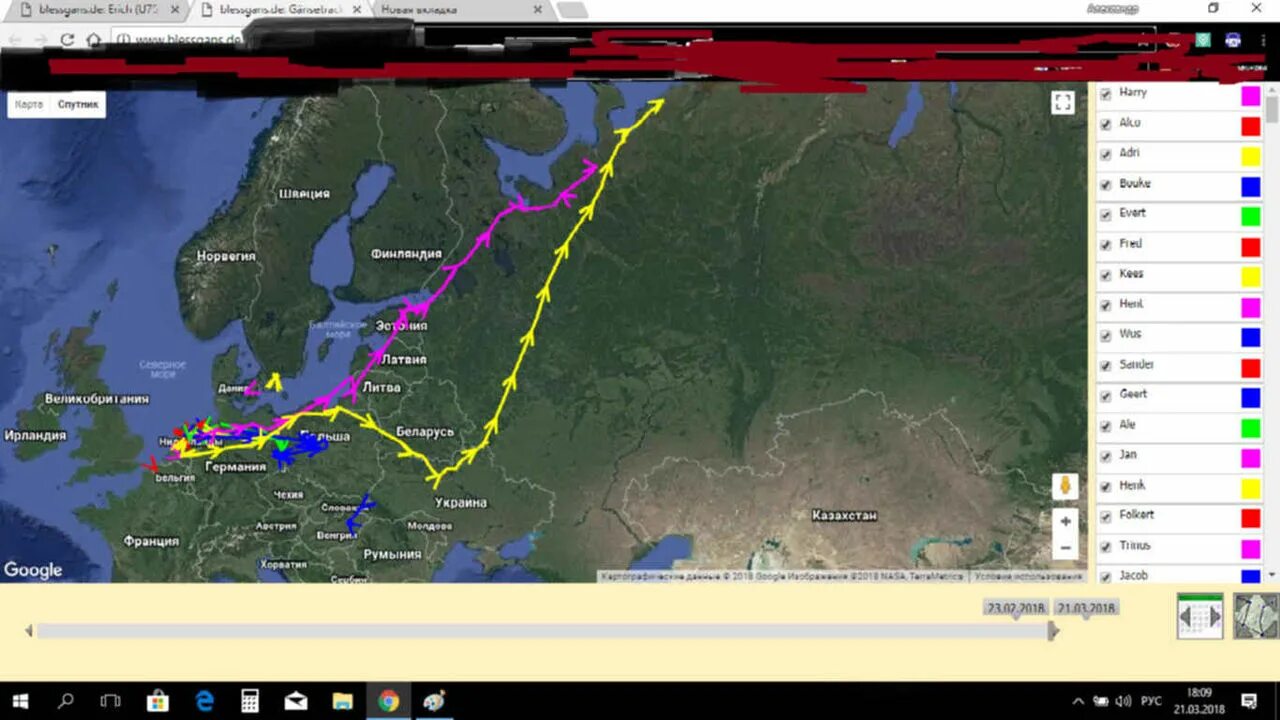 Карта пролета. Карта миграции гусей в России. Пути миграции гусей на карте России. Путь миграции белолобого гуся в России. Миграция гусей.