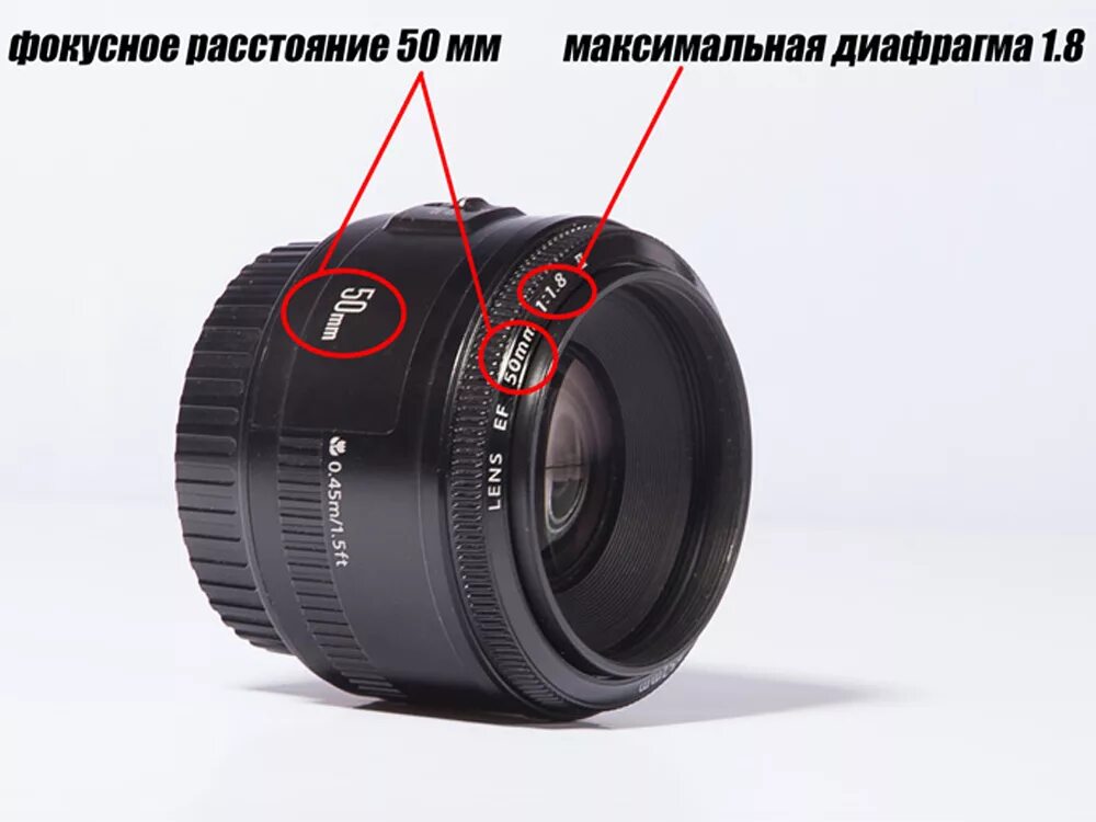 Объектив 50 мм 1.4 Canon диафрагма. Nikon 14-24 2.8 Размеры объектива. Объективы для кроп Canon.