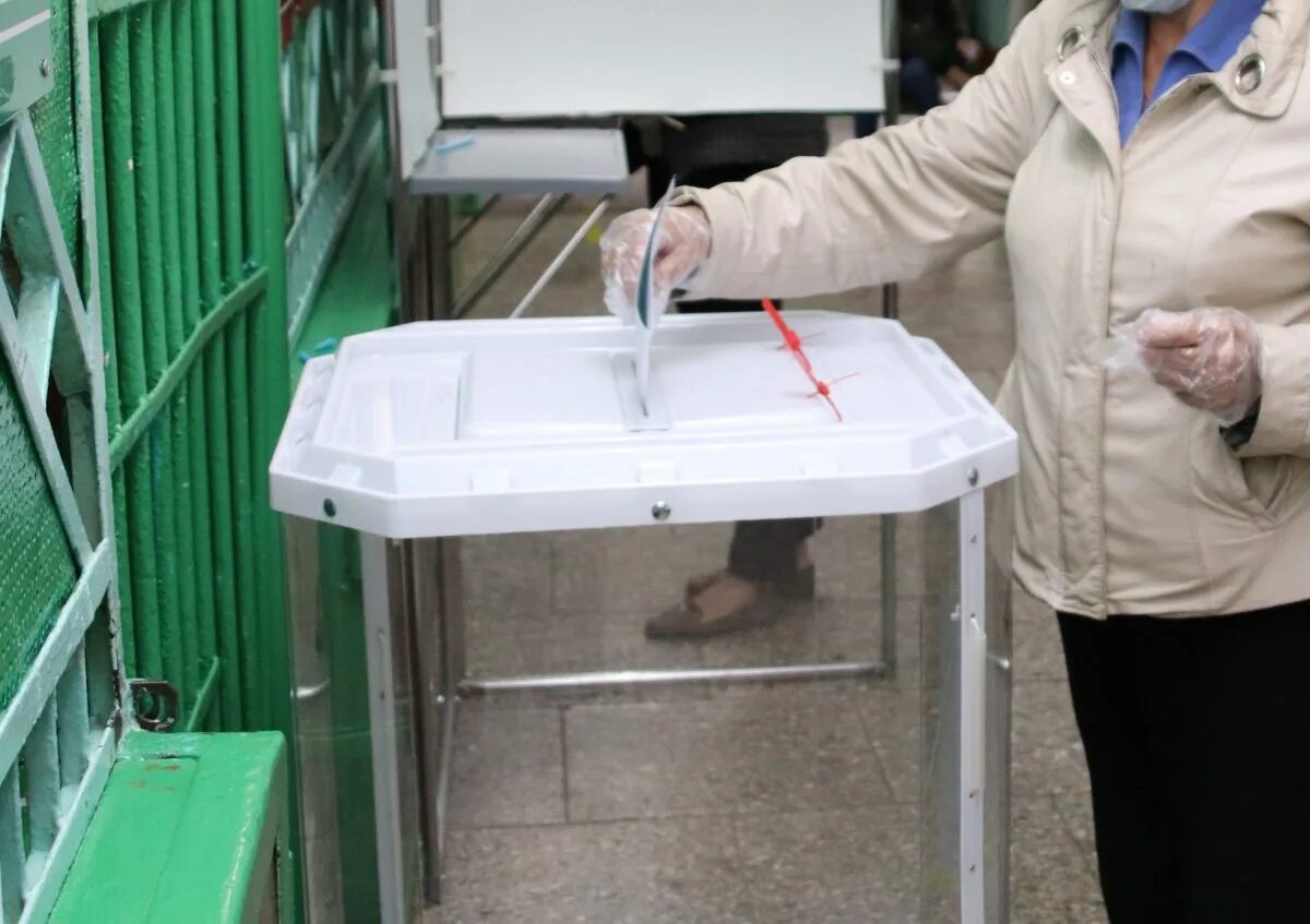 досрочное голосование картинки. порядок проведения досрочного голосования. досрочные выборы. досрочное голосование избирательные. выборы в беларуси 2022.