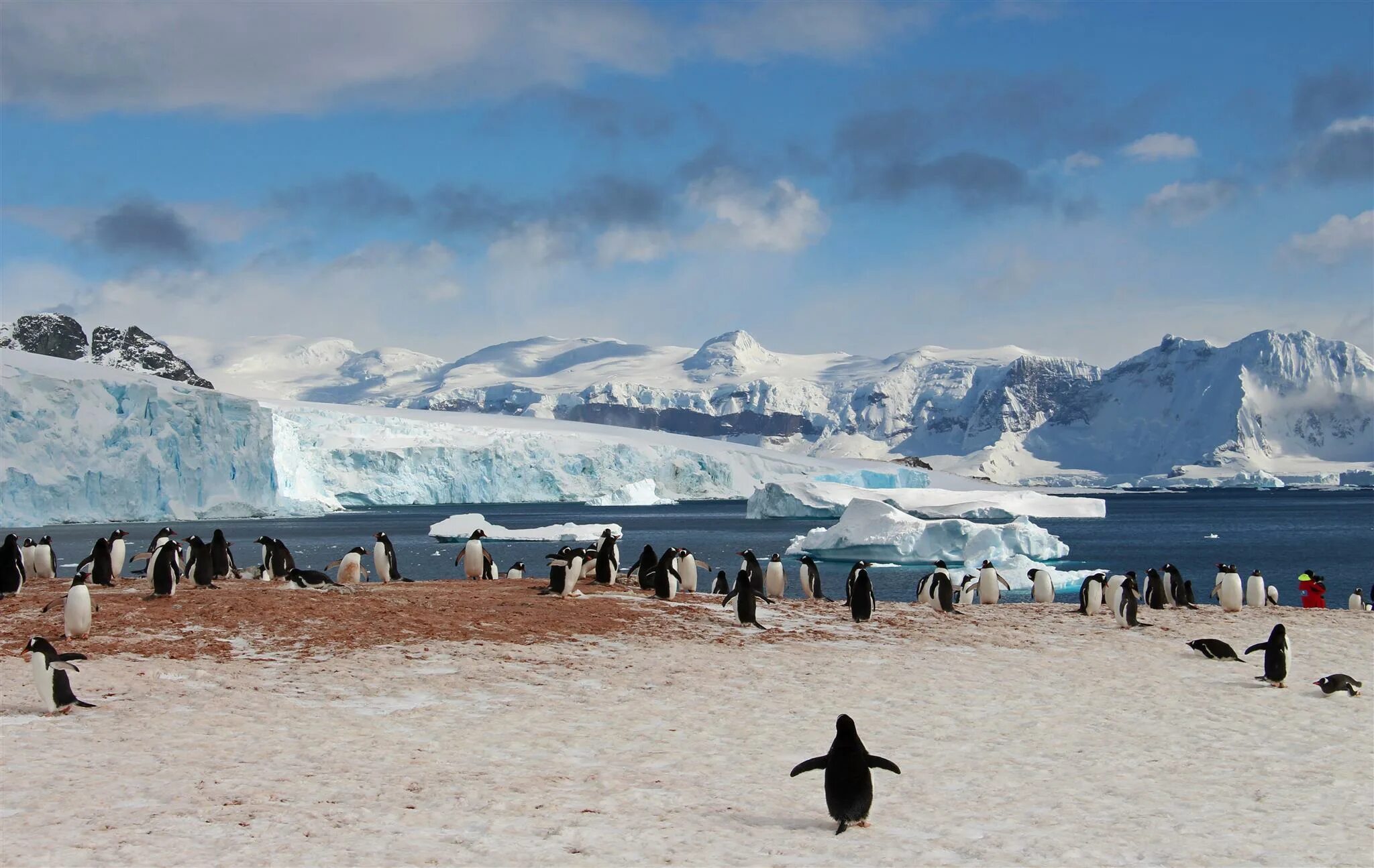 Ушуайя антарктида. Антарктика остров Завадовского. Ушуайя остров пингвинов. Город Ушуайя круиз Антарктика.