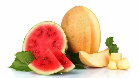 Melon 25.0
