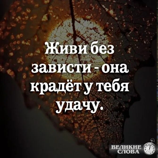 Живи без зависти. Живи без зависти она. Живи без зависти она крадет у тебя удачу живи. Живи без зависти живи без ненависти живи без злобы.