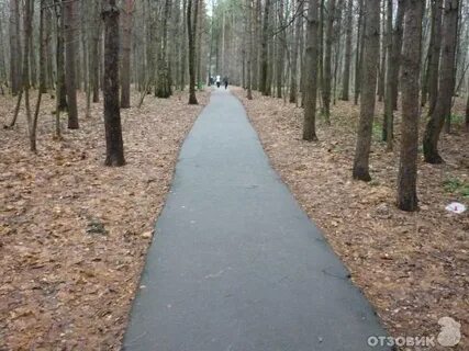 Дорожках окончание