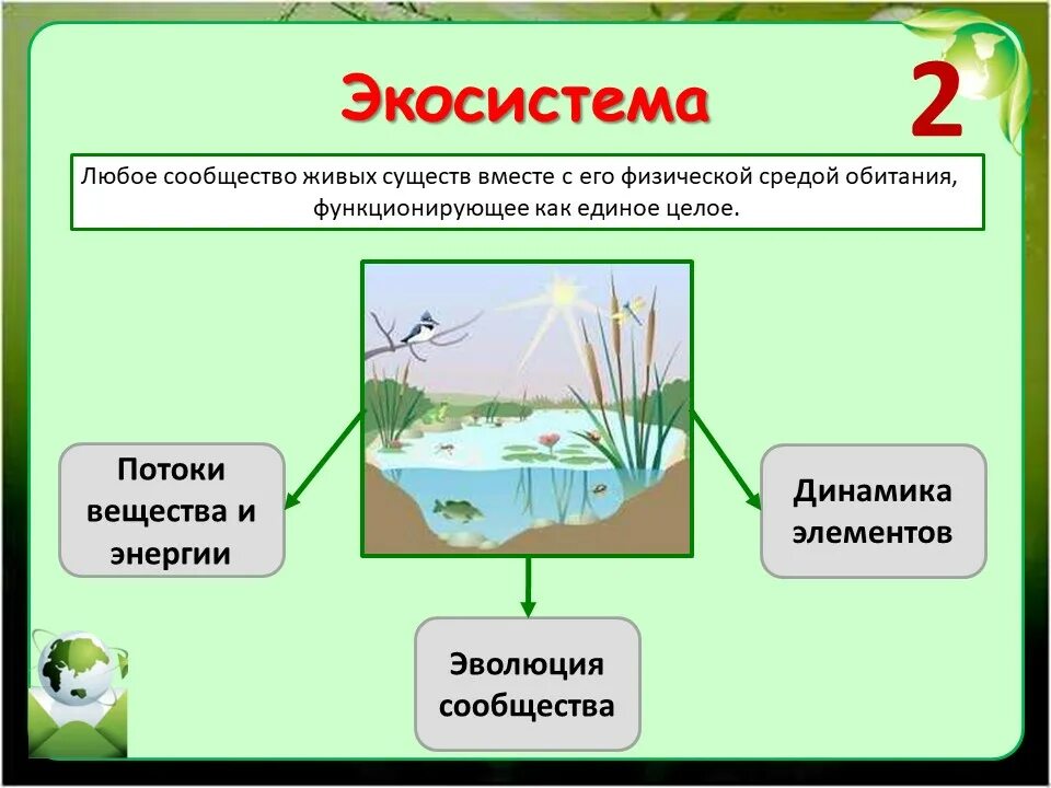 С какими природными сообществами схожа искусственная. Экосистема. Экологические сообщества. Экологическое сообщество это в биологии. Экосистема это в экологии.