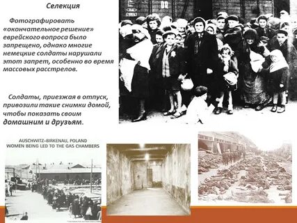 Какой концлагерь освободили