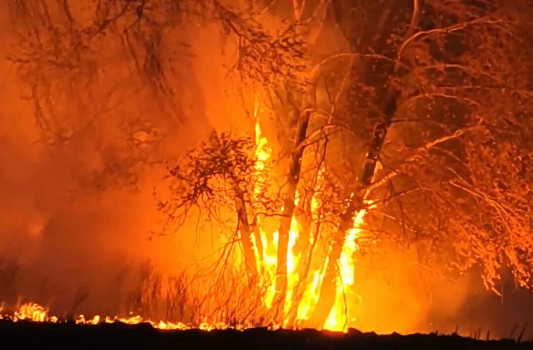 В атмосфере снова сгораю. Пожар в Бижбуляке. Сгоревший лес. Горит лес около села Узян Башкирия. Где в Башкирии горят леса.