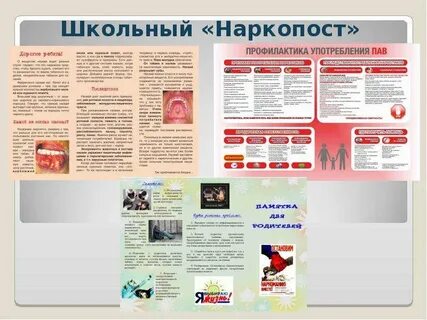 Профилактика пав в школе