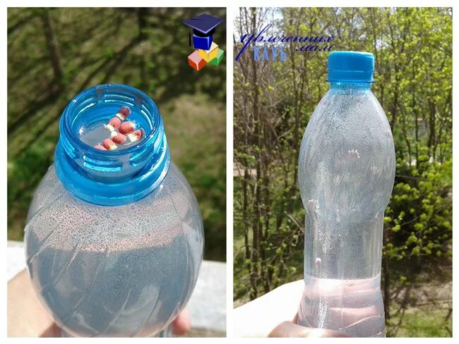 Опыт с бутылкой и водой по физике. Параметры пластиковых пэт бутылок. Давление в жидкости опыты. Бутылка пластиковая давление. Давление пластиковой бутылки.