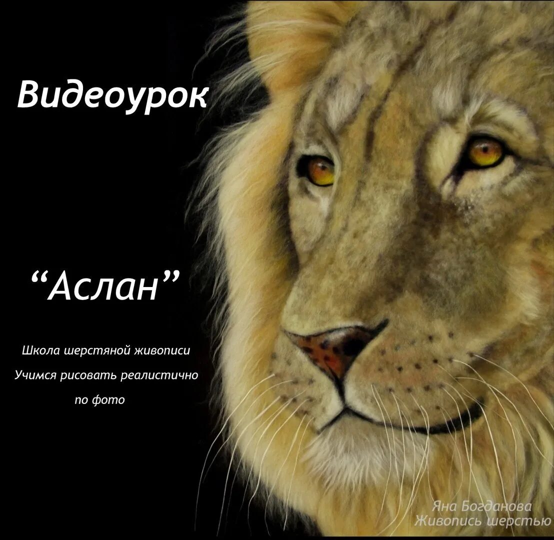 Аслан работа. Картинка аслан. лев аслан. шерстяной лев картины. аслан иллюстрация.