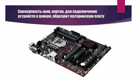 Шина порта