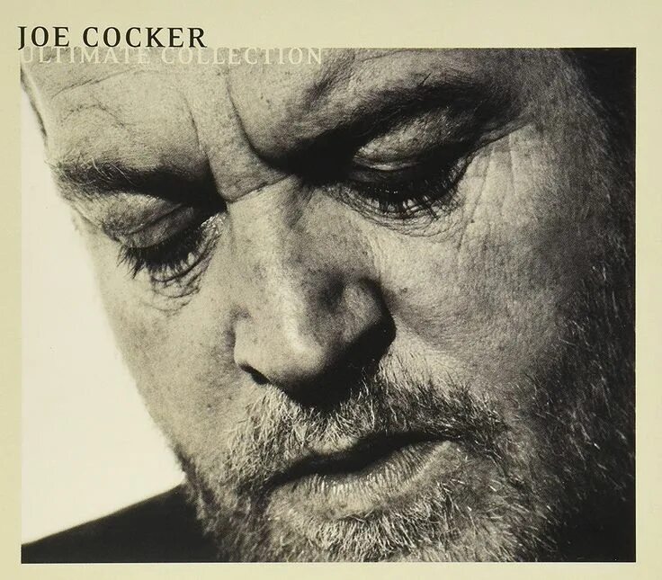 Joe cocker альбомы. Джо кокер. joe cocker 2004. joe cocker ultimate collection 1968-2003. джо кокер альбомы.