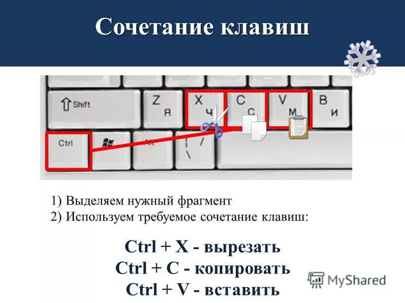 Комбинация клавиш выделить весь текст. Кнопки для копирования и вставки на клавиатуре. Копирование на клавиатуре клавиши. Сочетание клавиш Ctrl. Кнопки на компе для копирования и вставки.