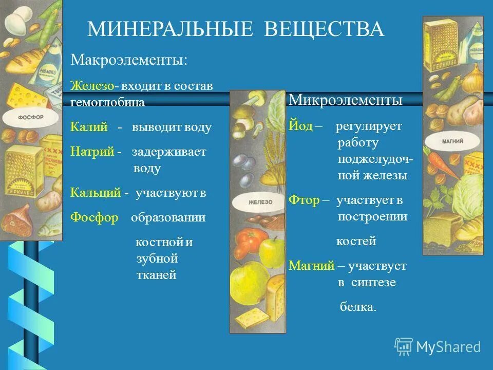 Макроэлементы кальций участвует в. Минеральные вещества макроэлементы. продукты задерживающие воду в организме таблица. продукты которые задерживают воду в организме таблица. основы рационального питания минеральные вещества 6 класс технология.
