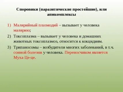 К споровикам относятся