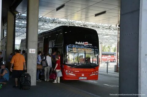Автобус брест польша