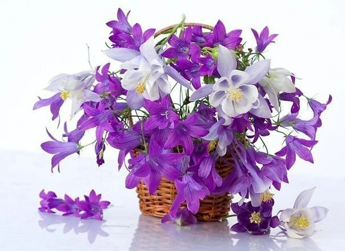 День рождения колокольчика. Букет Кампанула,лилии,Лаванда. Красивый весенний букет. Открытка цветы. Красивый букет весенних цветов.