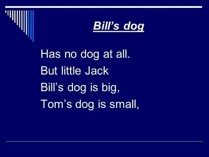 Bills dog