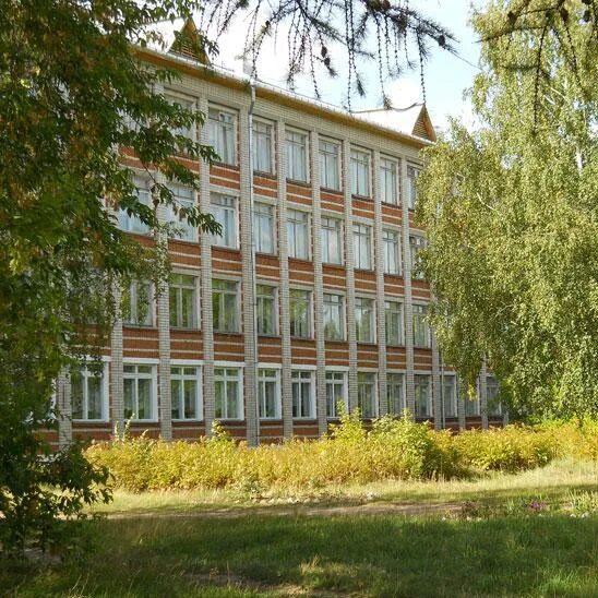 Группа школа номер 2. Школа 2 заводоуковск. Школа номер 1 миньяр. Группа школа номер 2. Школа 1 нягань.