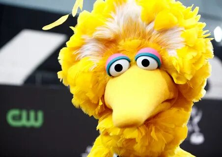 Big bird