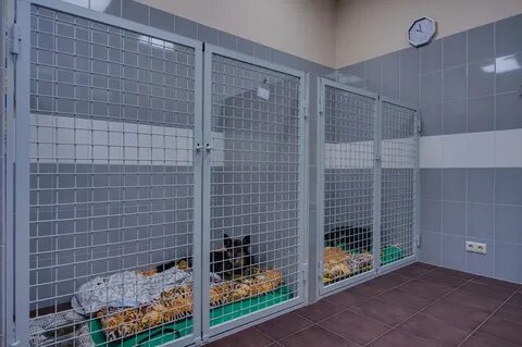 Передержка казань