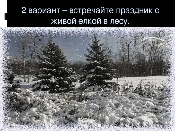 Налетели метели. Падающий снег в лесу. Анимация снег в лесу. Зимний лес анимация. Снег идет в лесу.