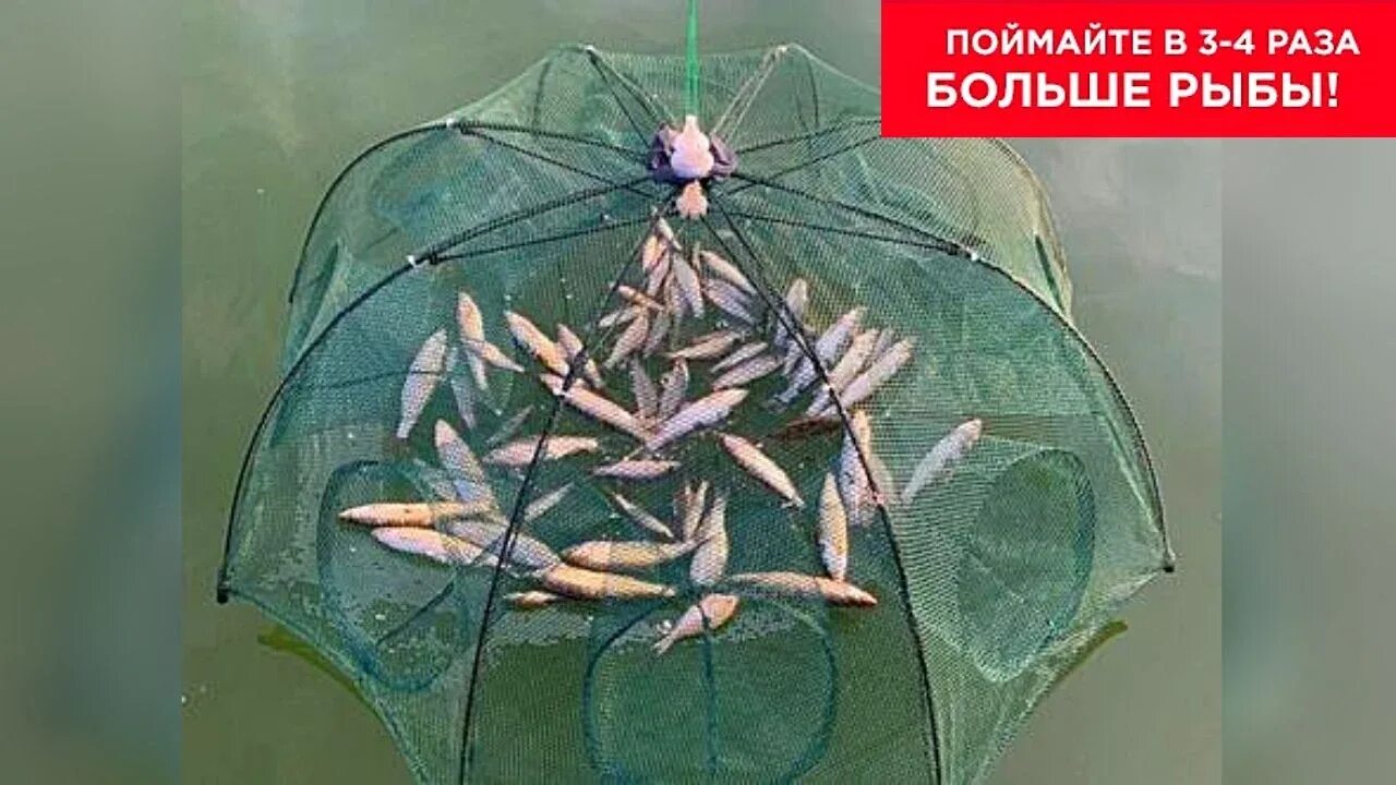 Как ловить раколовкой зонтик