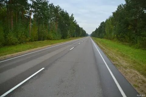 Дорога гомель