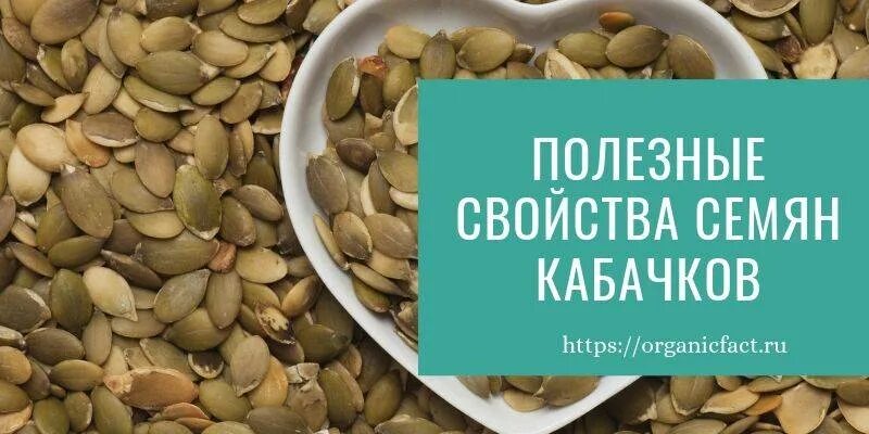Семечки кабачка польза и вред. Кабачковые семена. кабачковые семечки. семена кабачков полезные свойства. семена полезные свойства.