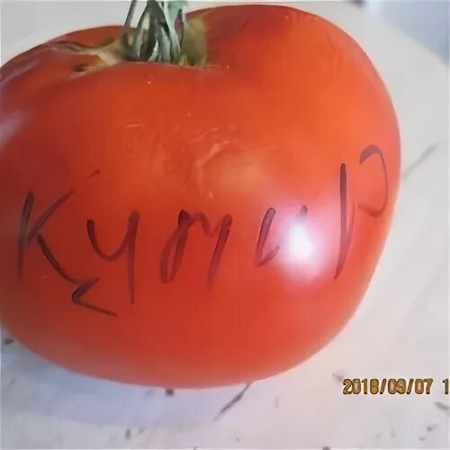 Томат кумир характеристика и отзывы сорт