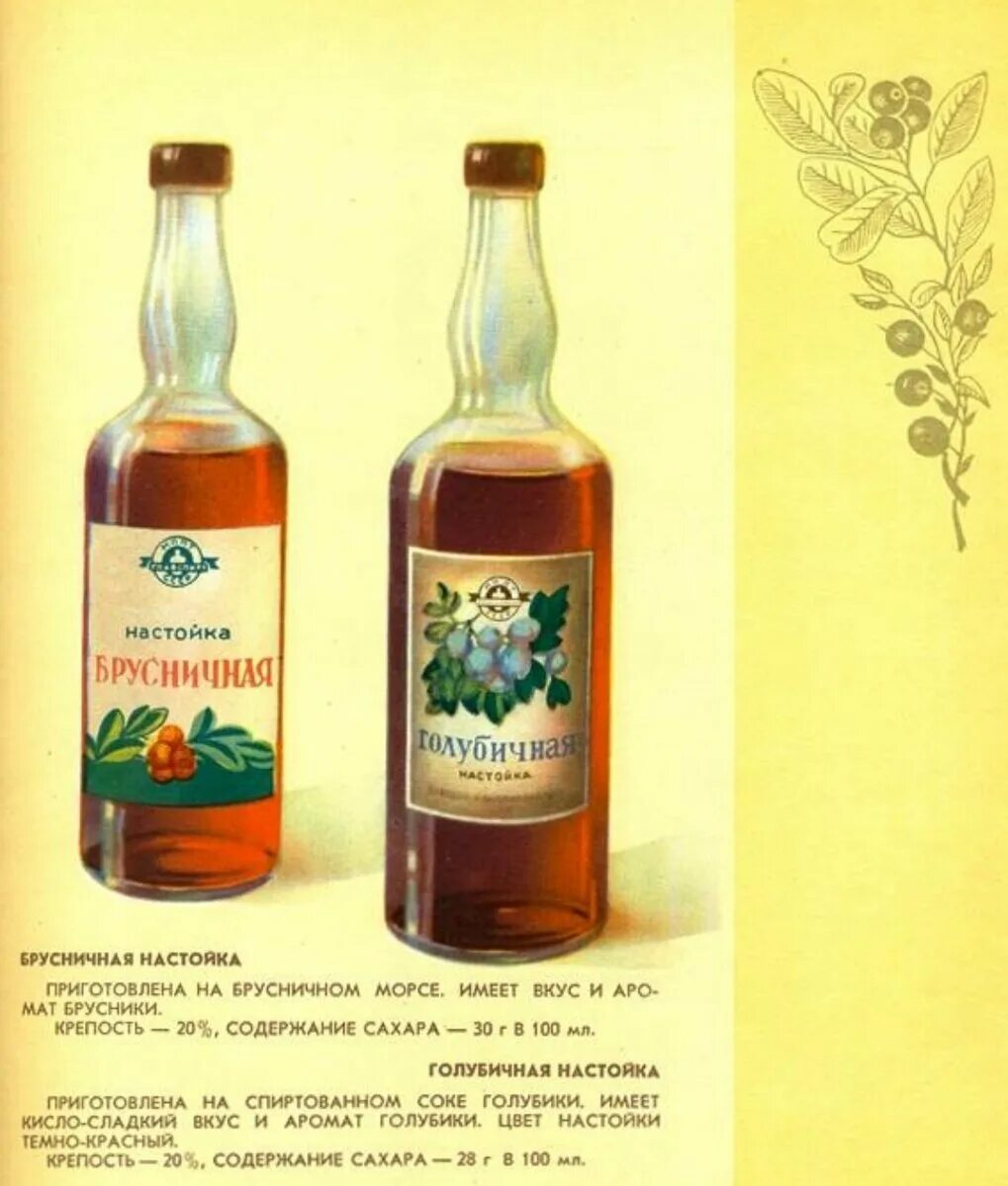 Настоенный или настоянный чай. Каталог ликеро-водочных изделий 1957. Советские напитки. Советские алкогольные напитки. Настойка алкогольная.