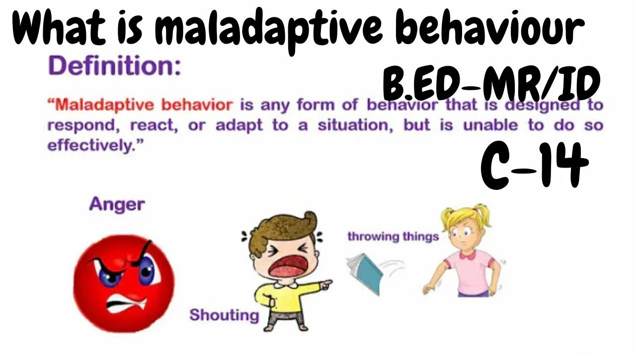 Behavior definition