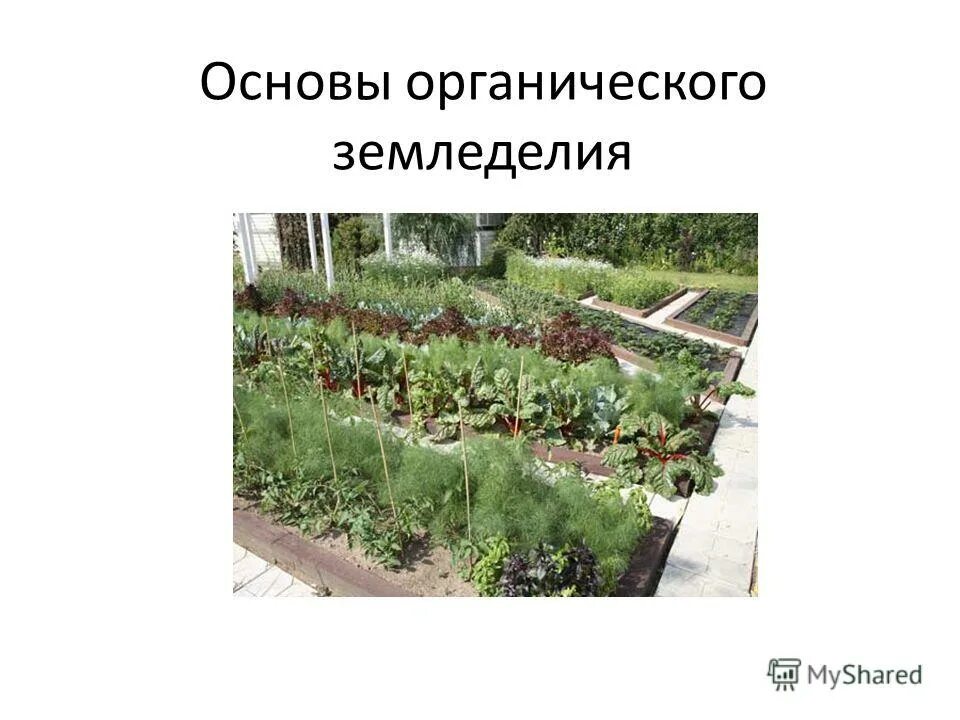 Природное земледелие и микробиологии. Органическое земледелие презентация. основы земледелия. принципы органического земледелия. органическое земледелие казань.