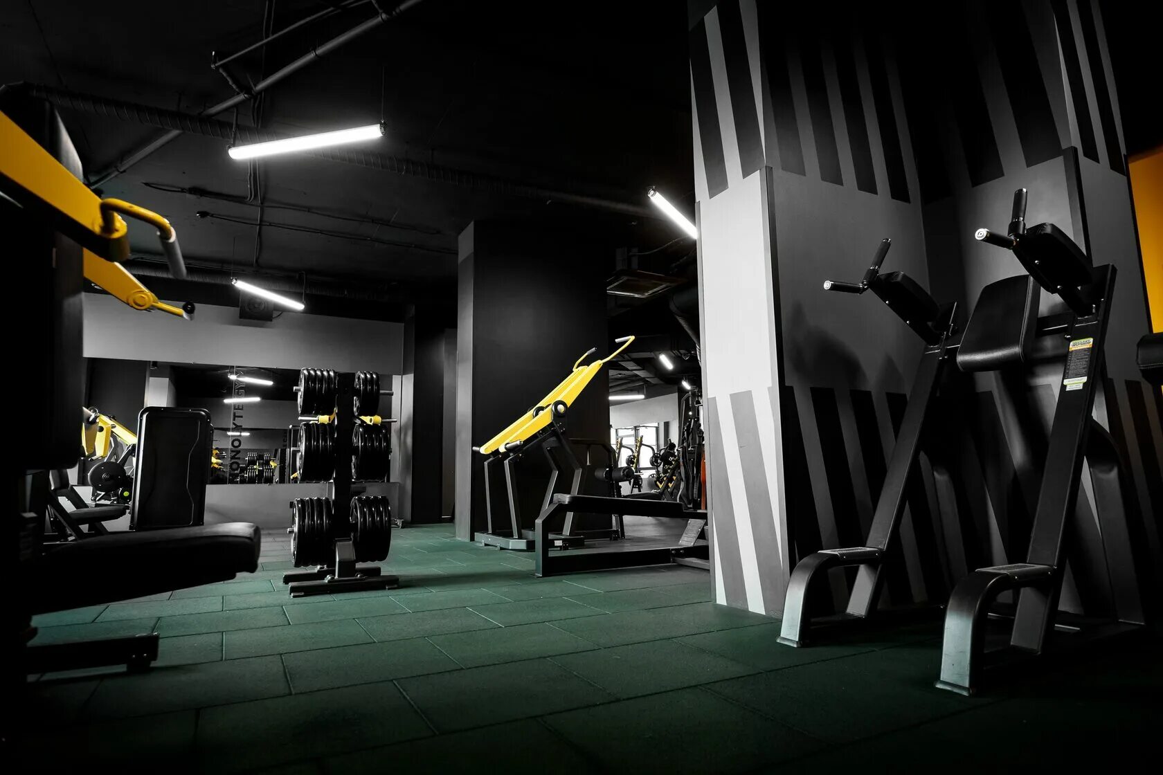 Тренажерный зал тюмень. Тренажерный зал. Максимус зал сходненская. Тренажерный зал тюмень. Лого даудель спорт.