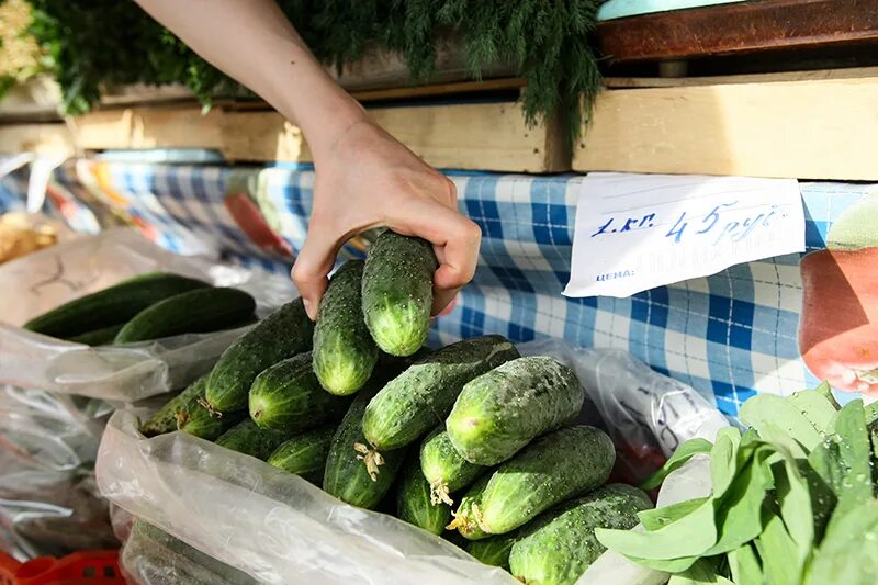 Огурцы на прилавке. Огурцы на рынке. Огурцы на базаре. Огурчики свежие на рынке.