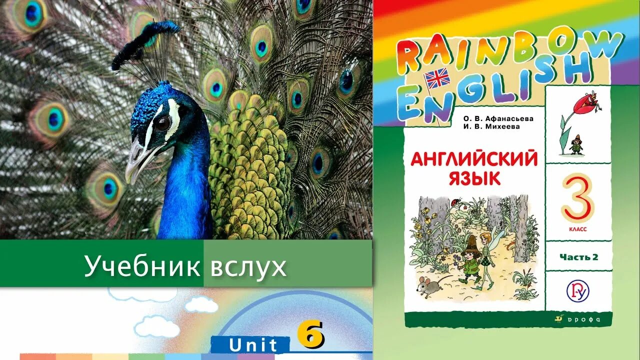 Учебник вслух. Rainbow English 1 класс. Радужный английский 4 класс учебник. Рейнбоу 4 класс учебник. Rainbow english unit 4 step 6