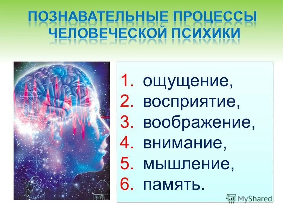 Восприятие и память. Восприятие память ощущение воображение. Ощущение восприятие память мышление воображение это. Ощущение восприятие память внимание воображение это. Ощущение восприятие внимание память.