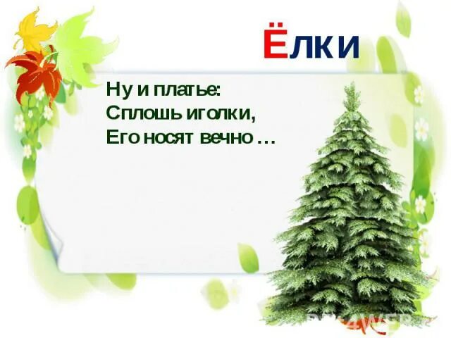 Загадка елка. Загадка елка