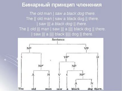 Бинарный принцип