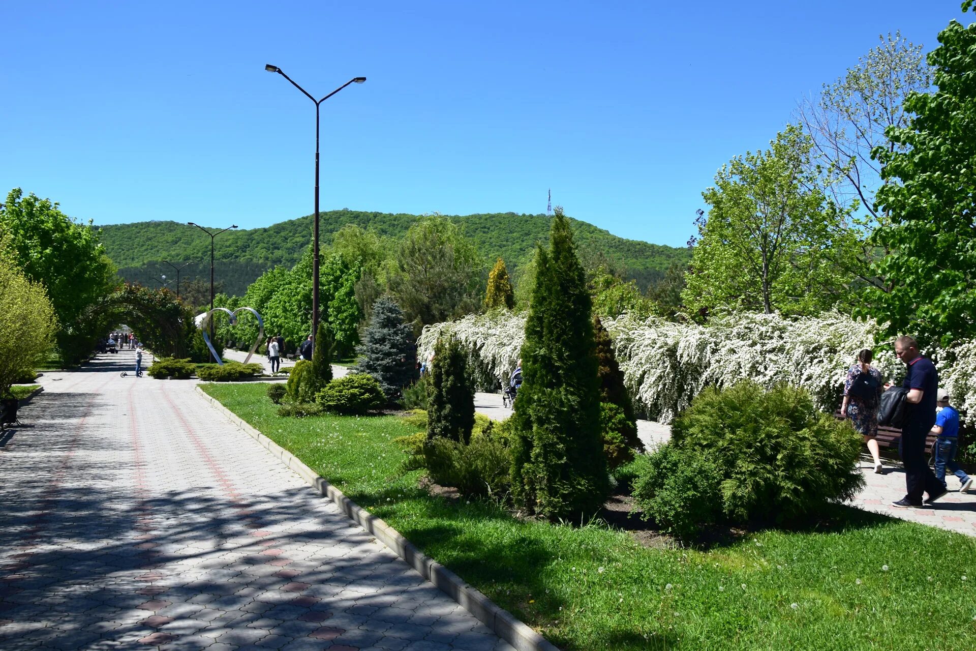 П абрау. Парк абрау дюрсо. абрау дюрсо набережная. парк абрау дюрсо новороссийск. аллея роз абрау дюрсо.