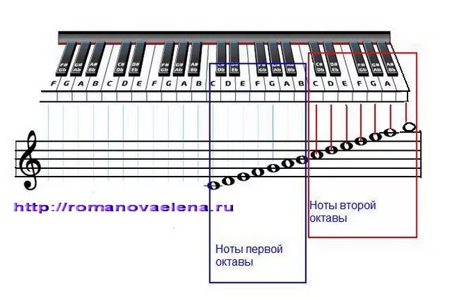 Ноты 2 октавы для фортепиано. Название нот 2 октавы фортепиано. Сольфеджио Ноты 2 октавы. Расположение нот на синтезаторе. Вторая октава на нотном