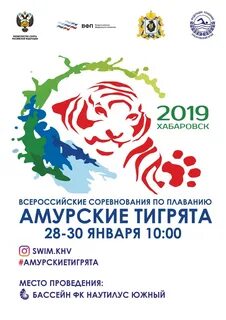 Омичка амурские тигрицы