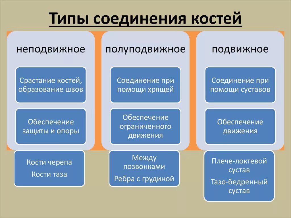 Таблица соединений кости. Виды соединения костей. Типы соединительных костей таблица. Функция подвижного соединения костей. Типы соед костей.