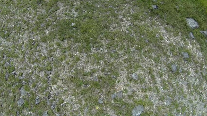 Пустыня топ. Ground top view. Top ground. Top ground. Top ground.