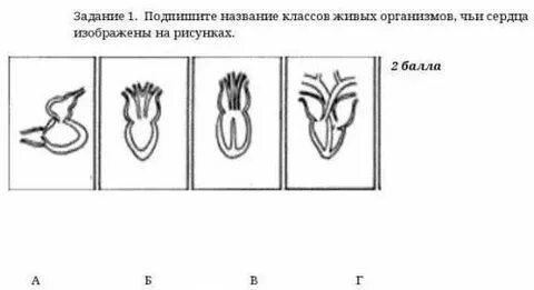 Чье сердце