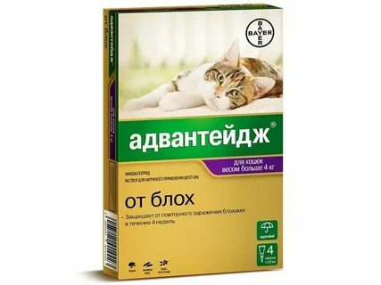 Препараты от блох для кошек