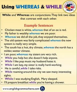 While examples